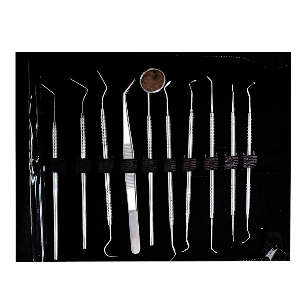 Dr. Steve Conservative Instrument Kit (Set of 19)